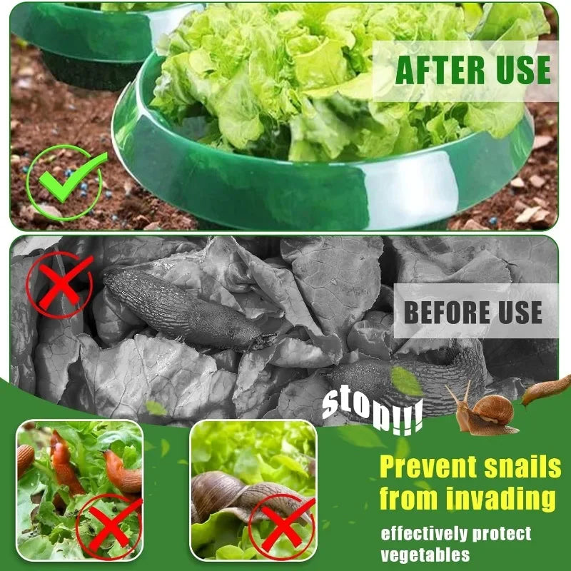 Plants Slug Protection Rings
