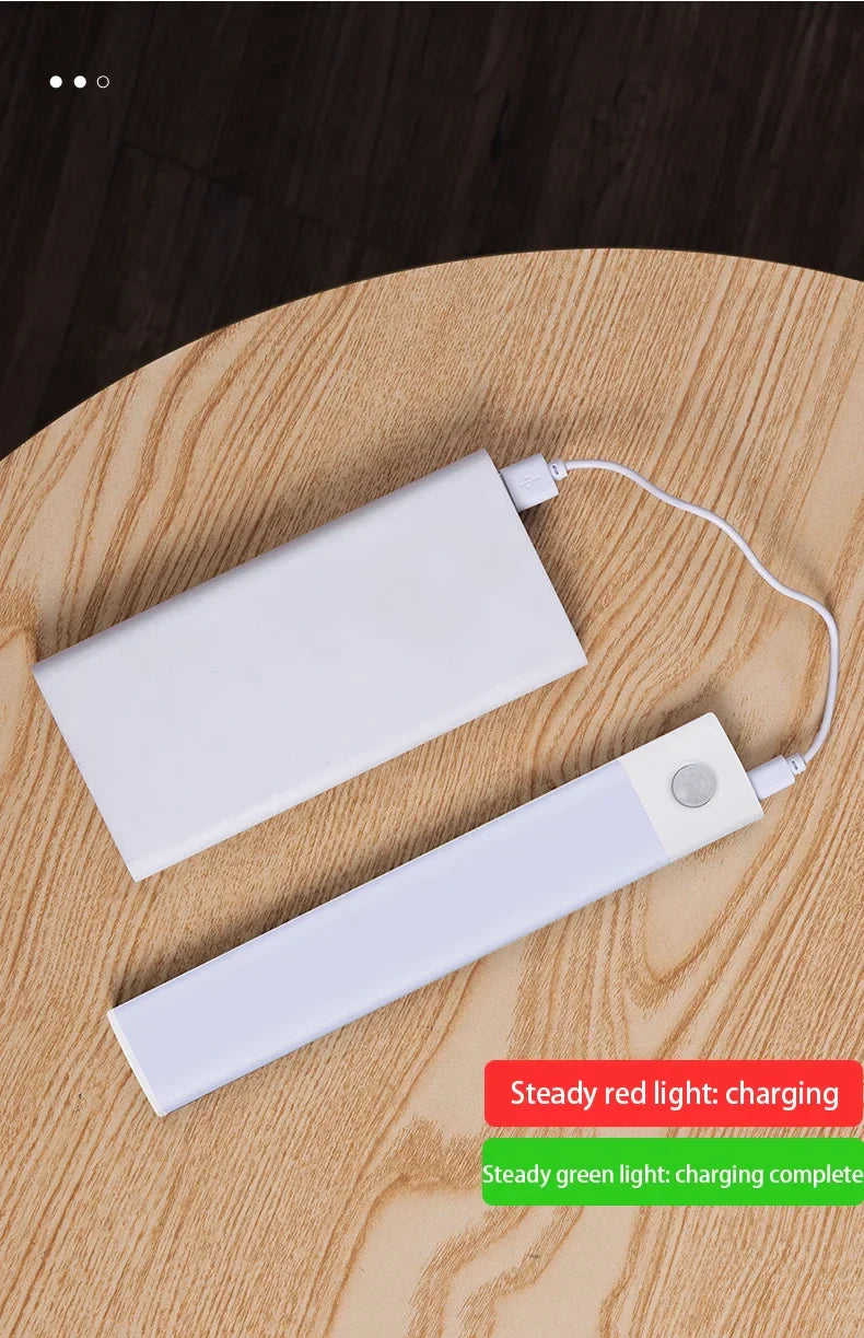LED Motion Sensor Light