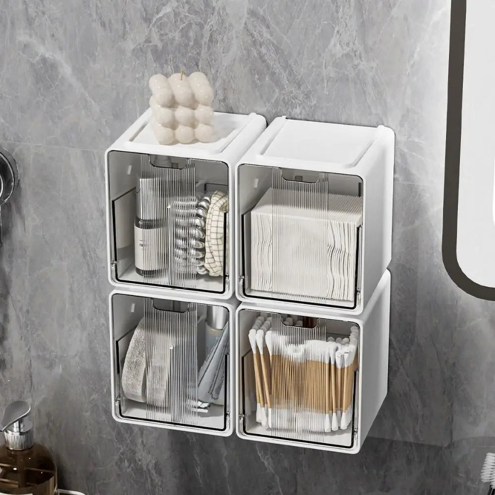 Multi-Mount Organizer