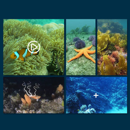 OceanEye Camera Submarine