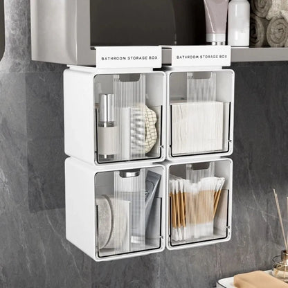 Multi-Mount Organizer