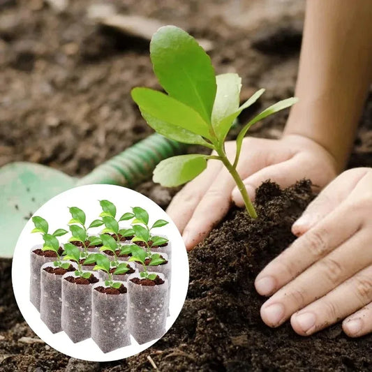 Biodegradable Grow Bags – Non-Woven Nursery Seedling Pots