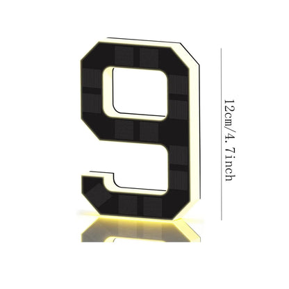 SolarGlow LED House Number Light